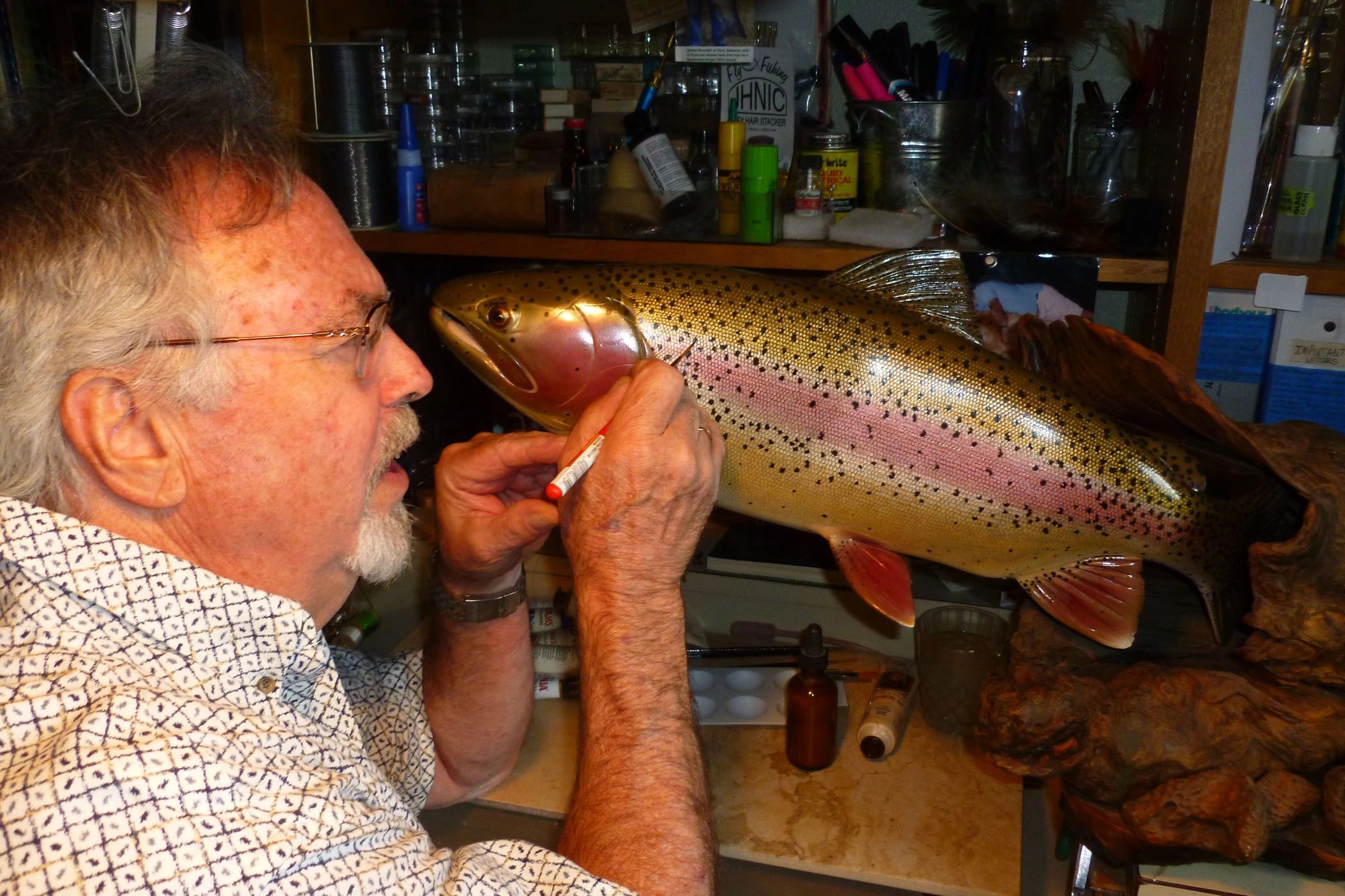 Hal Janssen examining a large mounted rainbow trout in his workshop