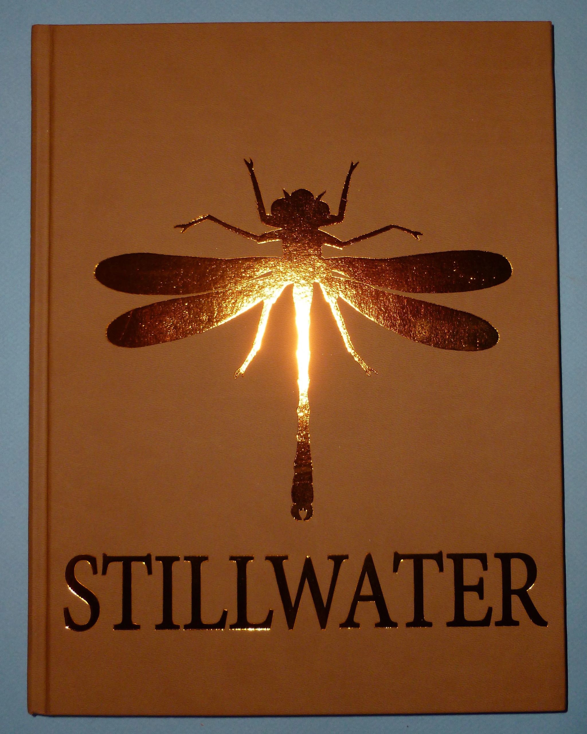 Hardcover Stillwater book with glowing dragonfly silhouette on the cover